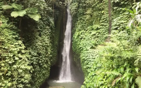 10 Most Beautiful Waterfalls in Bali That Offer Spectacular Views